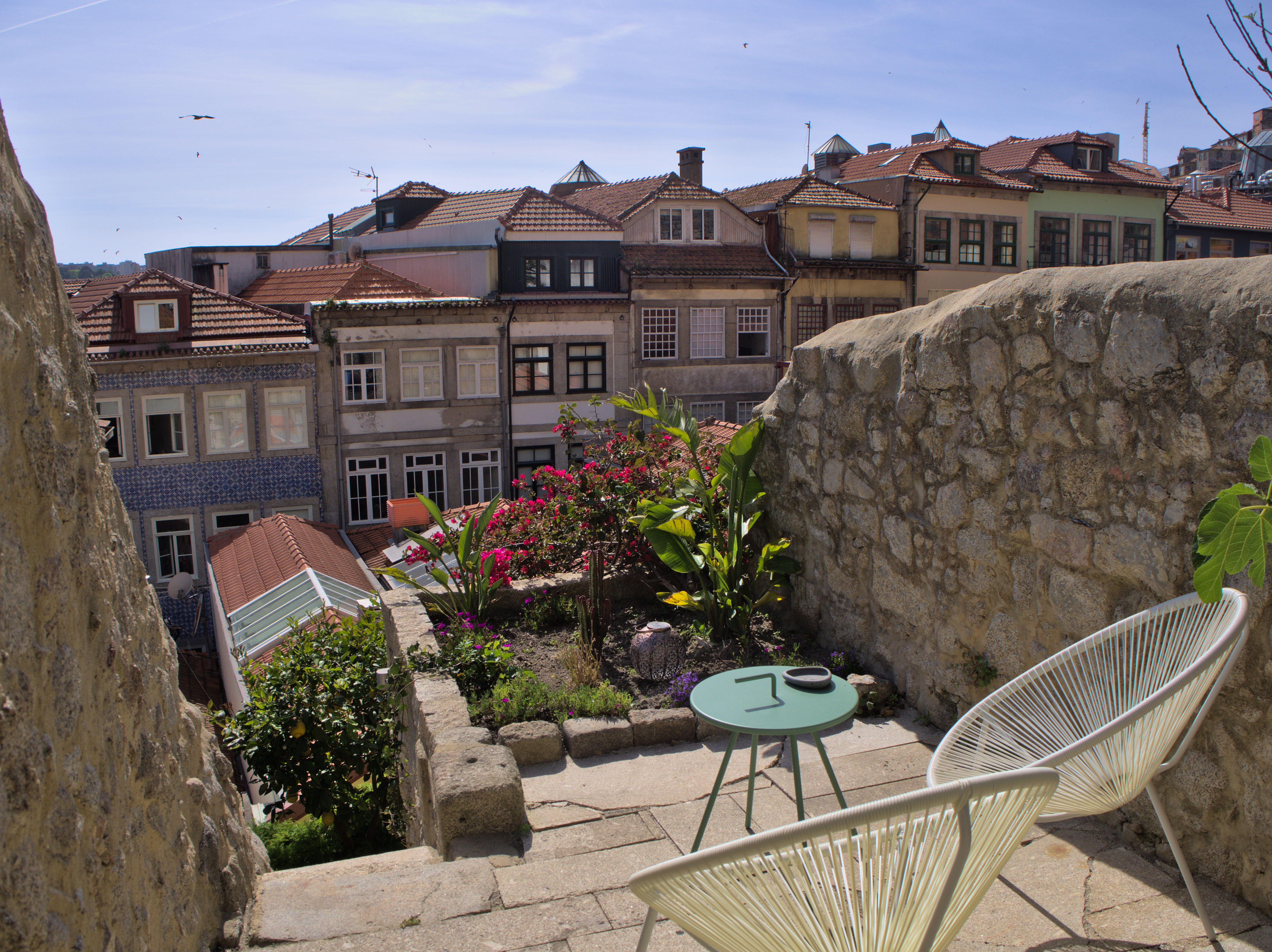 House 11
