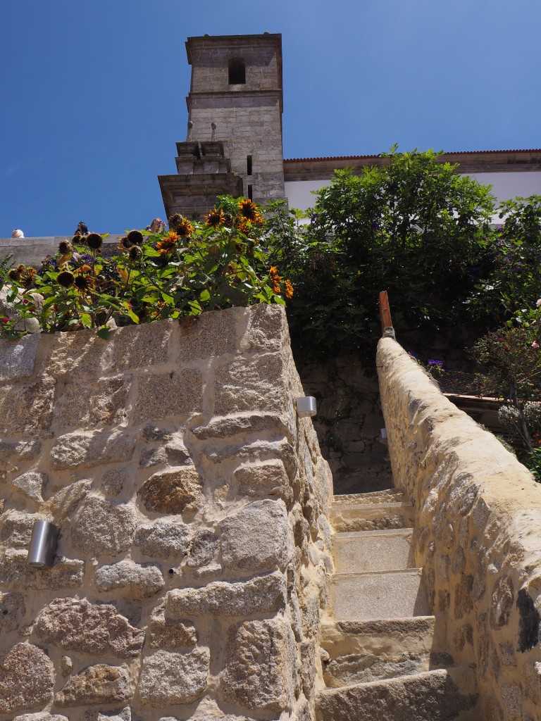 House 6